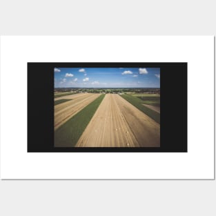 Aerial view of round hay bales on stubble under blue cloudy sky Posters and Art